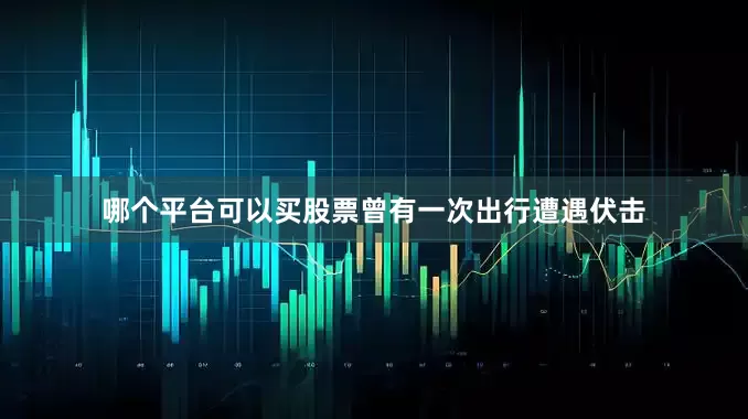 哪个平台可以买股票曾有一次出行遭遇伏击