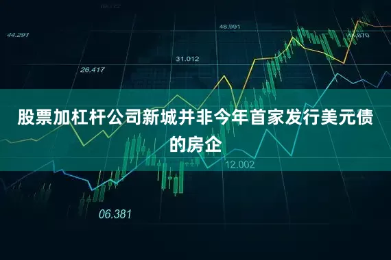 股票加杠杆公司新城并非今年首家发行美元债的房企