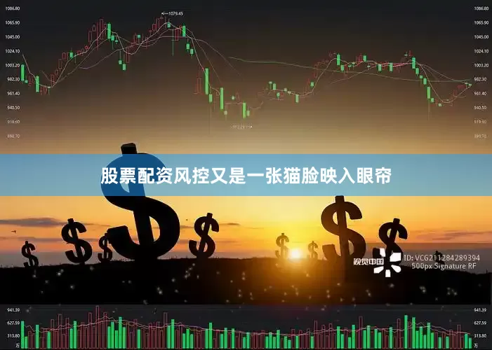 股票配资风控又是一张猫脸映入眼帘