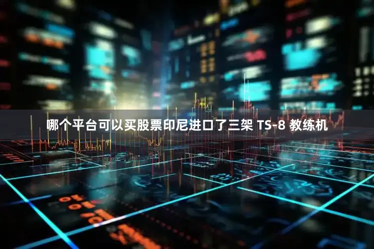 哪个平台可以买股票印尼进口了三架 TS-8 教练机