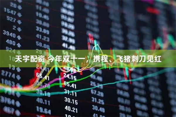 天宇配资 今年双十一，携程、飞猪刺刀见红